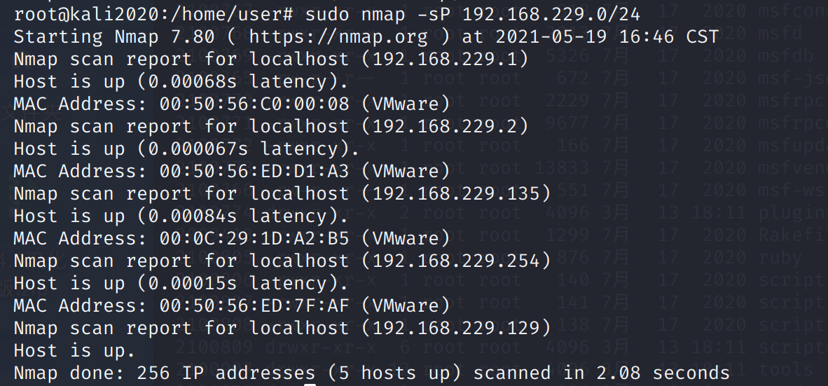 image-20210519164912383