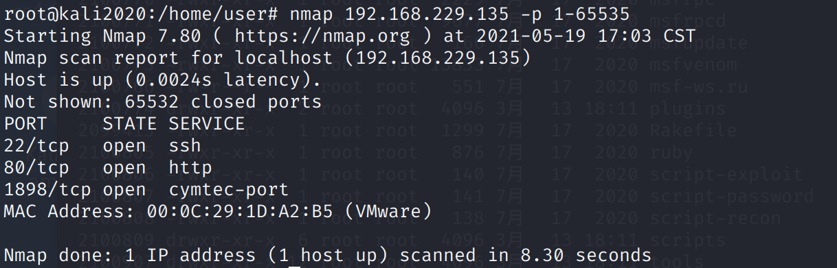 image-20210519170419899