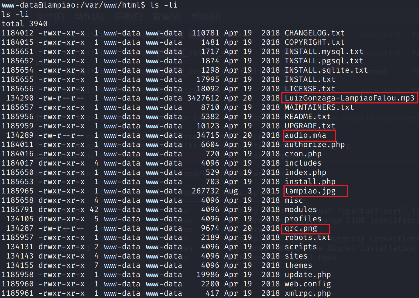 image-20210523162343113