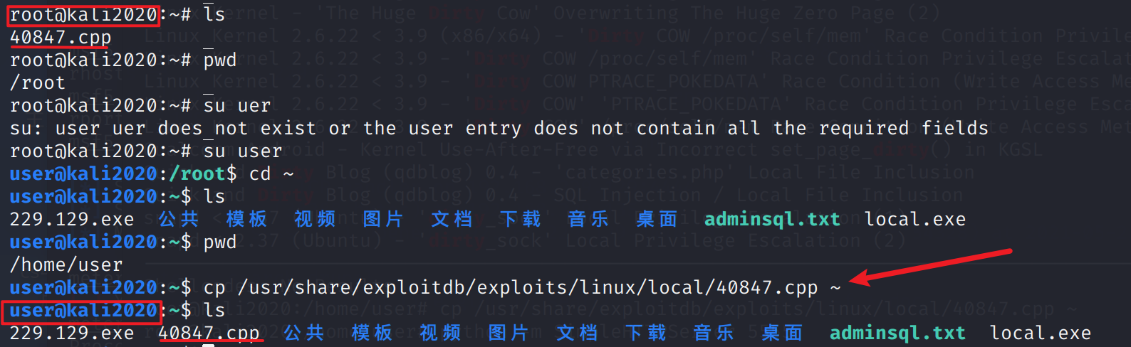 image-20210524093919689