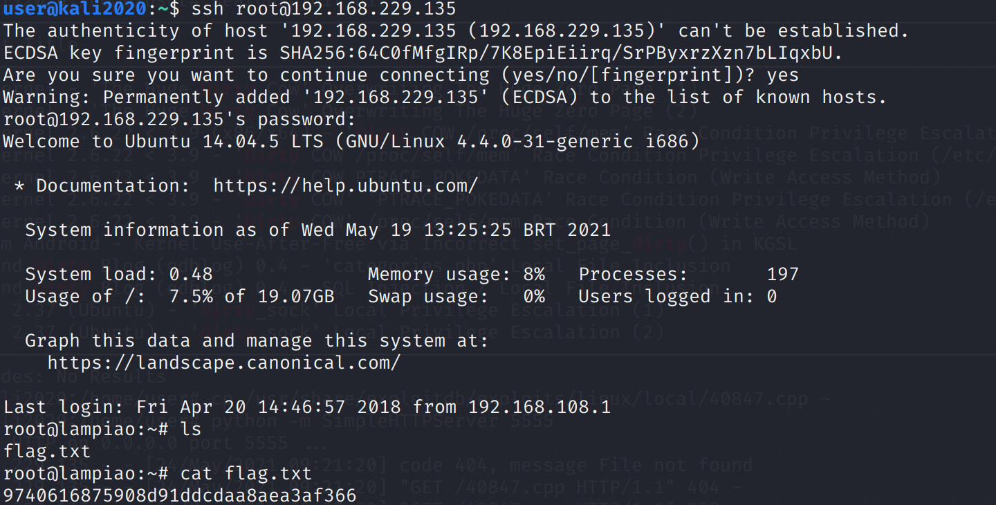 image-20210524213622884